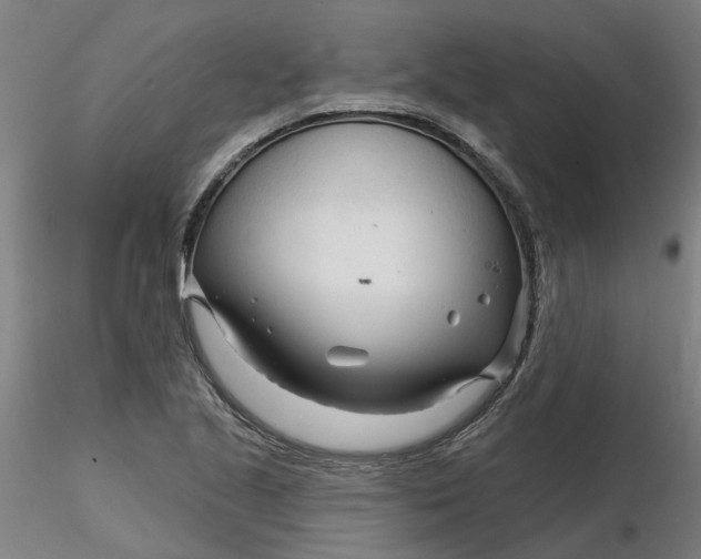 X0000116341221200912221434