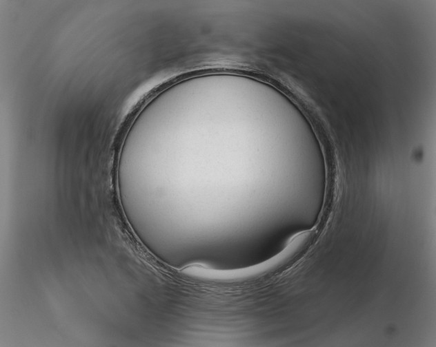 X0000116341222200912221434