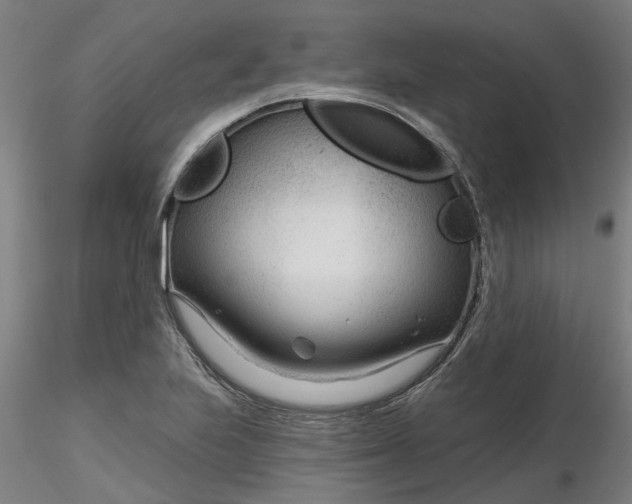 X0000116341223200912221434