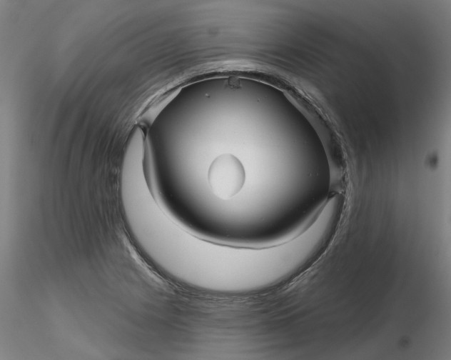 X0000116341225200912221434