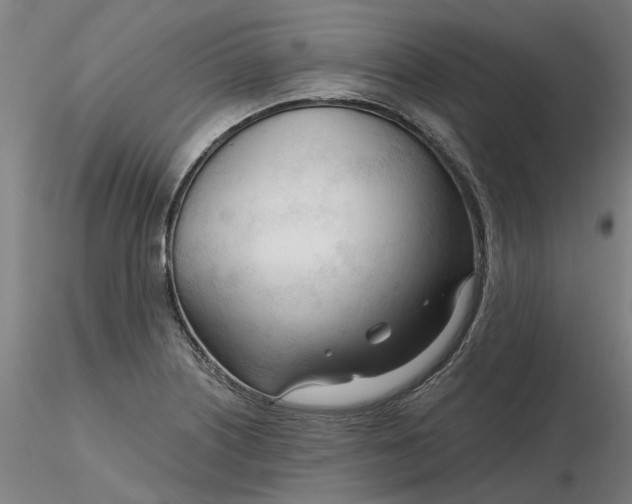 X0000116341226200912221434