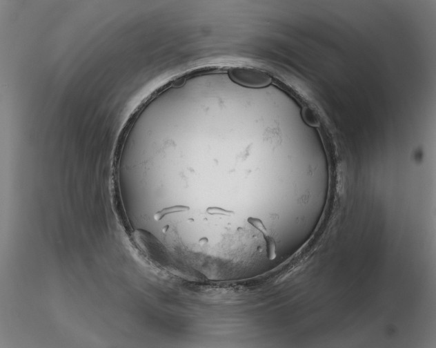 X0000116341229200912221434