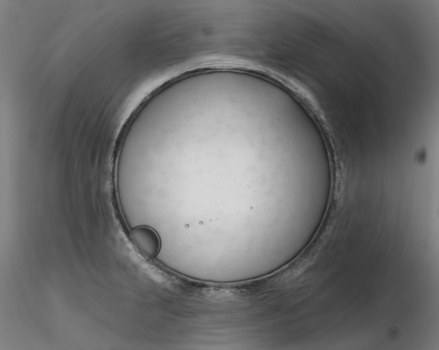 X0000116341231200912221434