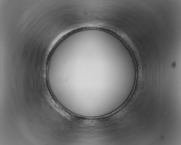 X0000116341232200912221434