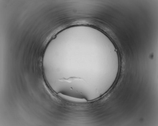 X0000116341233200912221434