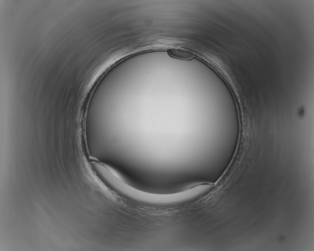 X0000116341235200912221434