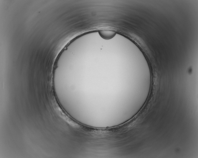 X0000116341236200912221434