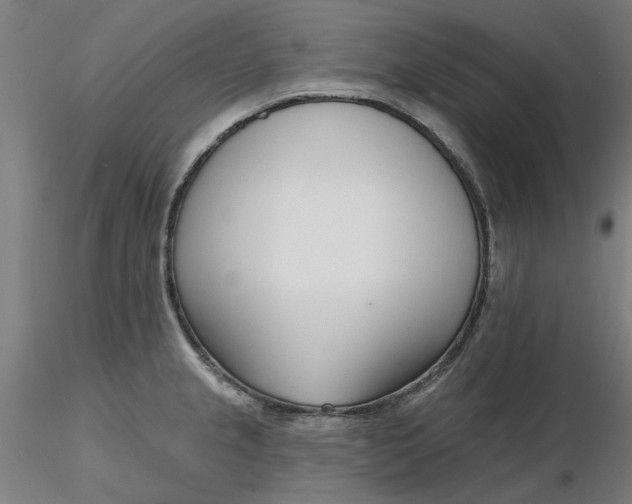 X0000116341237200912221434