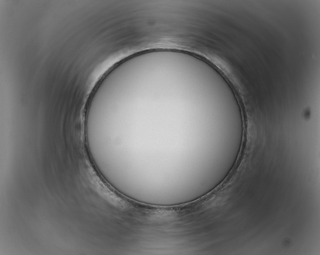 X0000116341238200912221434