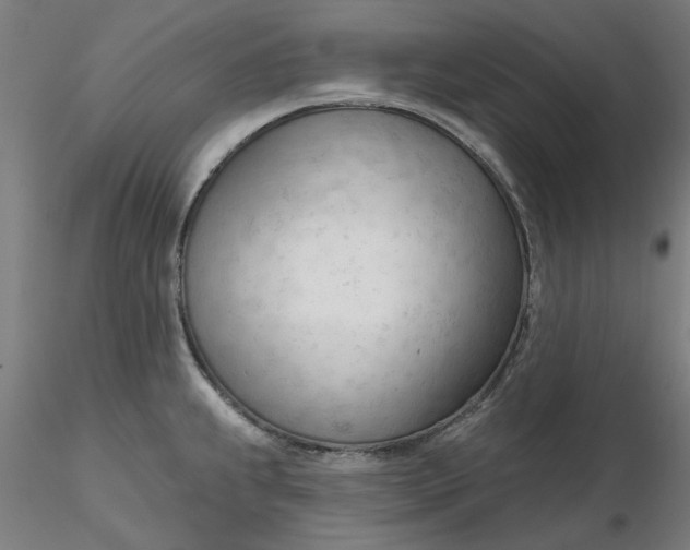 X0000116341239200912221434