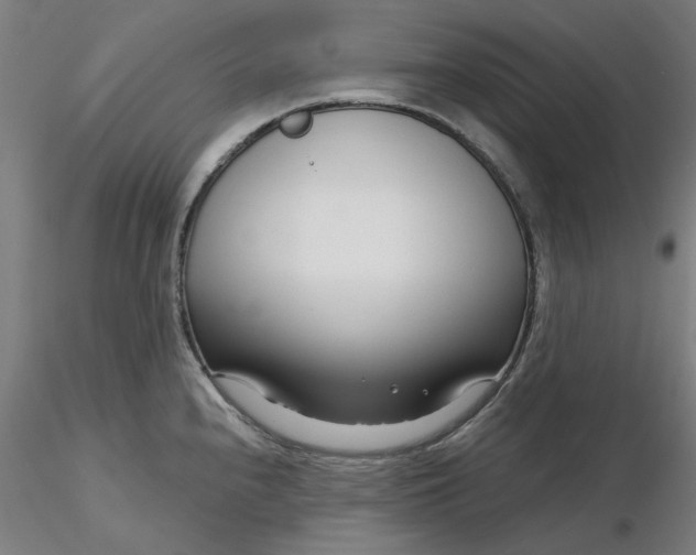 X0000116341240200912221434