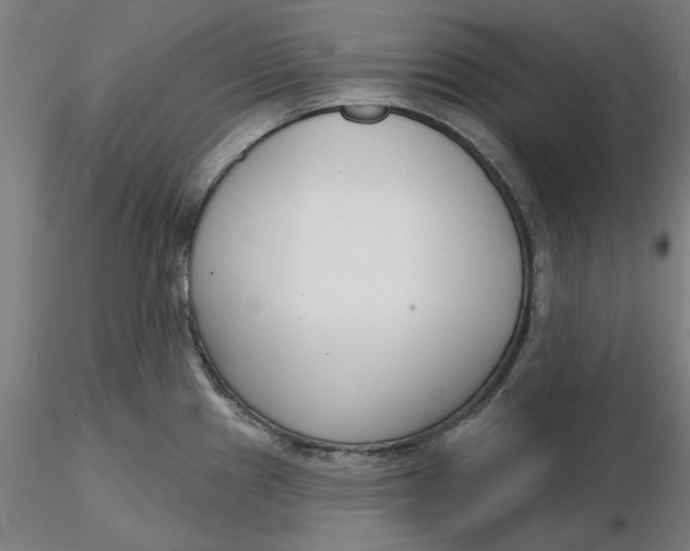 X0000116341241200912221434