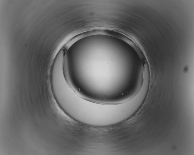 X0000116341243200912221434