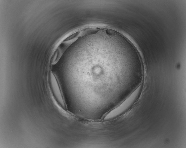 X0000116341245200912221434