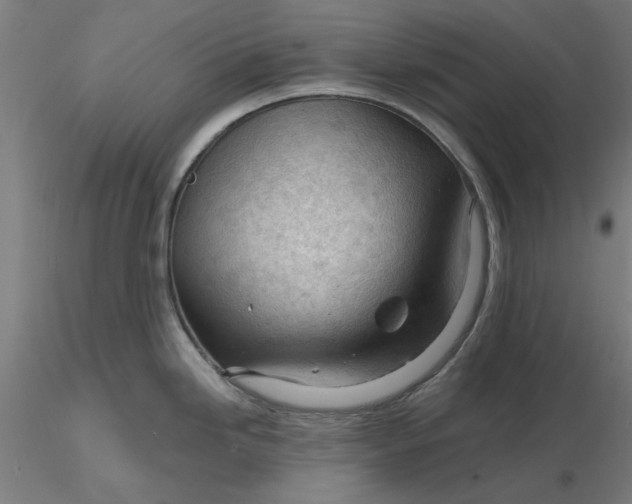 X0000116341246200912221434