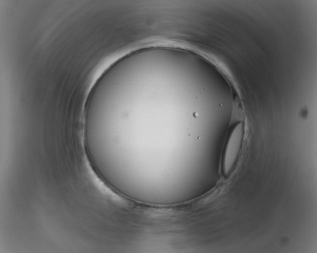 X0000116341247200912221434