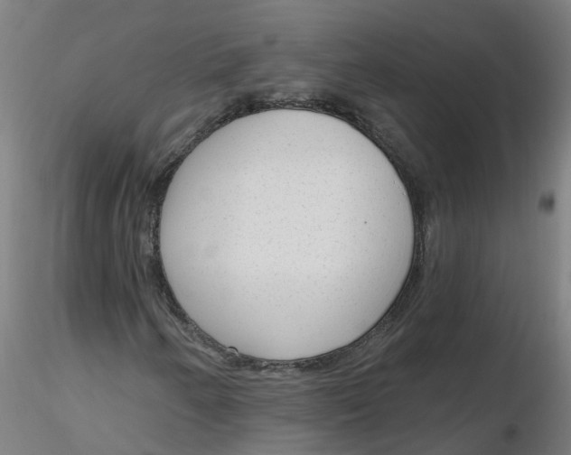 X0000116341250200912221434