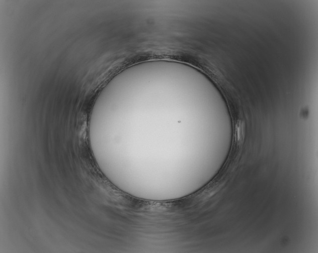 X0000116341251200912221434