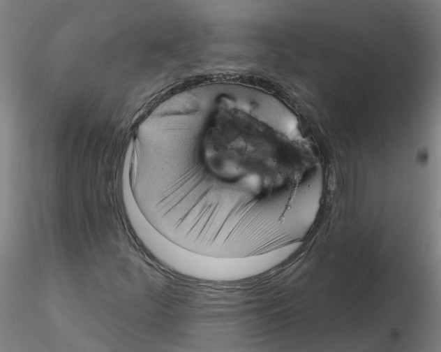 X0000116341252200912221434