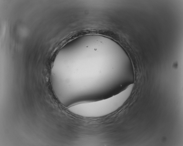 X0000116341253200912221434