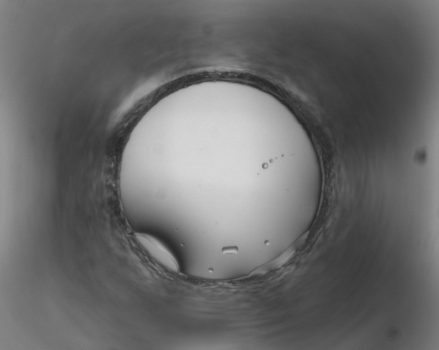 X0000116341255200912221433