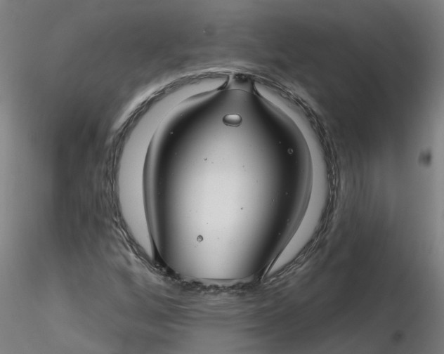 X0000116341256200912221433