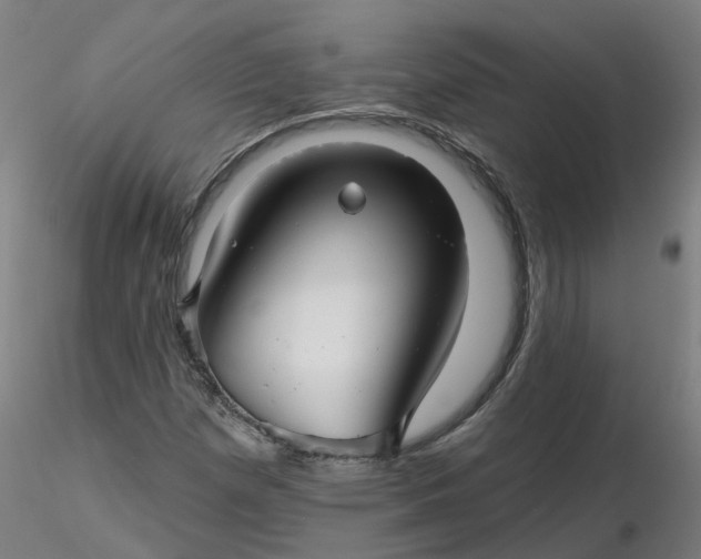 X0000116341257200912221433