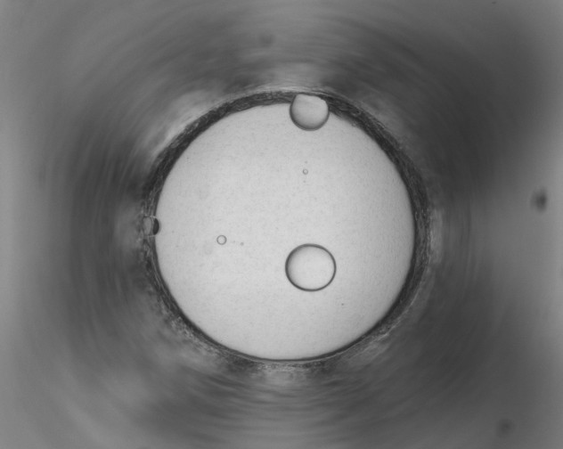 X0000116341258200912221433