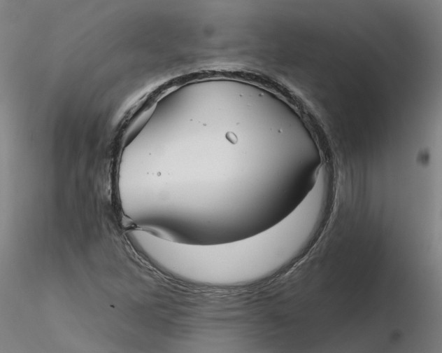 X0000116341262200912221433