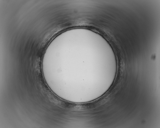 X0000116341265200912221433