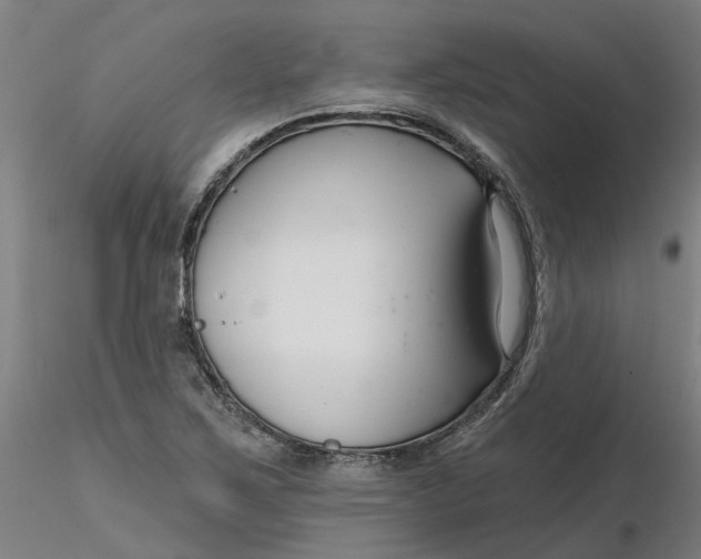 X0000116341267200912221433