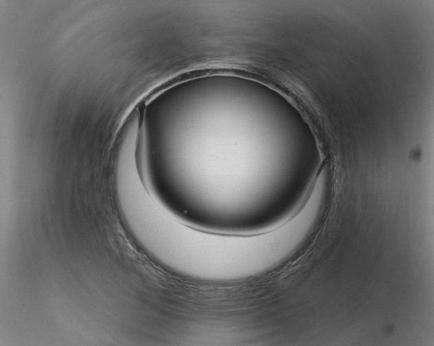 X0000116341268200912221433