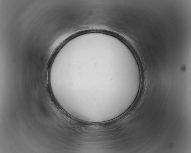 X0000116341271200912221433