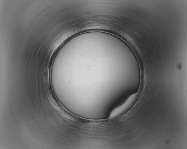 X0000116341274200912221433