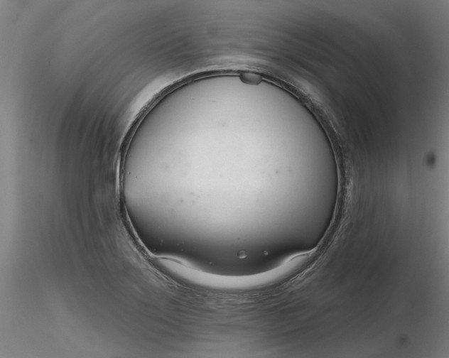 X0000116341275200912221433