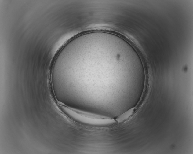 X0000116341277200912221433