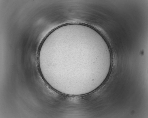 X0000116341278200912221433