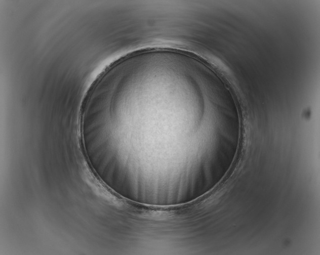 X0000116341280200912221433