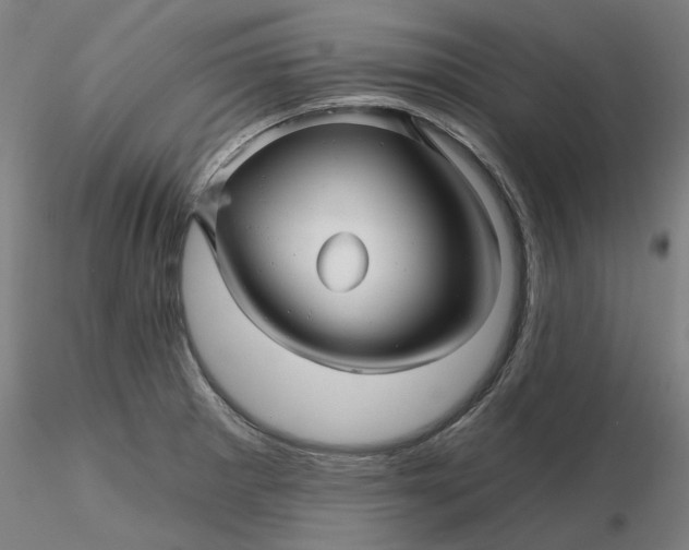 X0000116341281200912221433