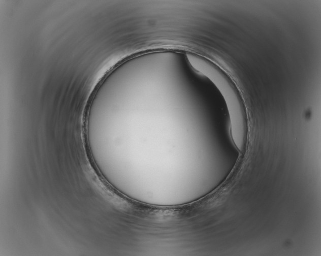 X0000116341283200912221433