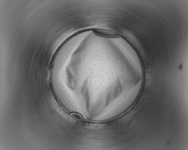 X0000116341284200912221433