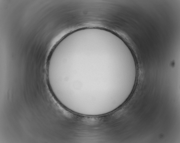 X0000116341286200912221433