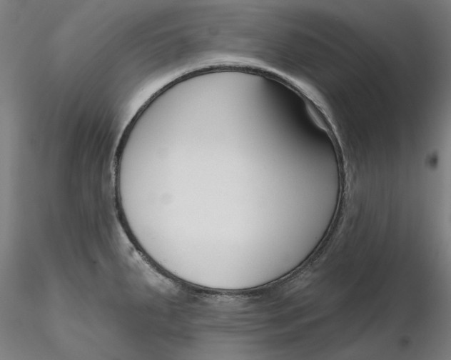 X0000116341287200912221433