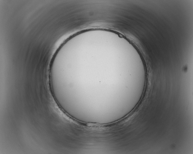 X0000116341288200912221433