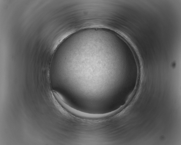 X0000116341289200912221433