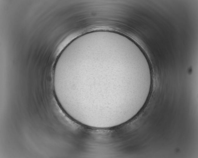 X0000116341290200912221433