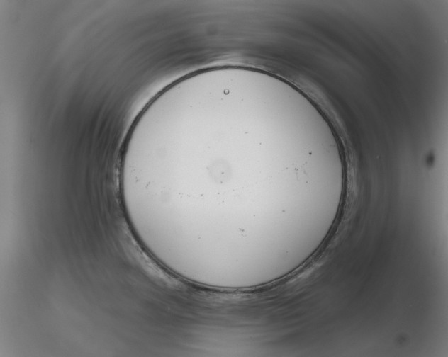 X0000116341292200912221433