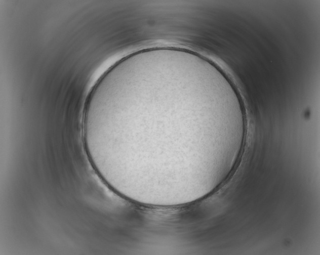 X0000116341294200912221433