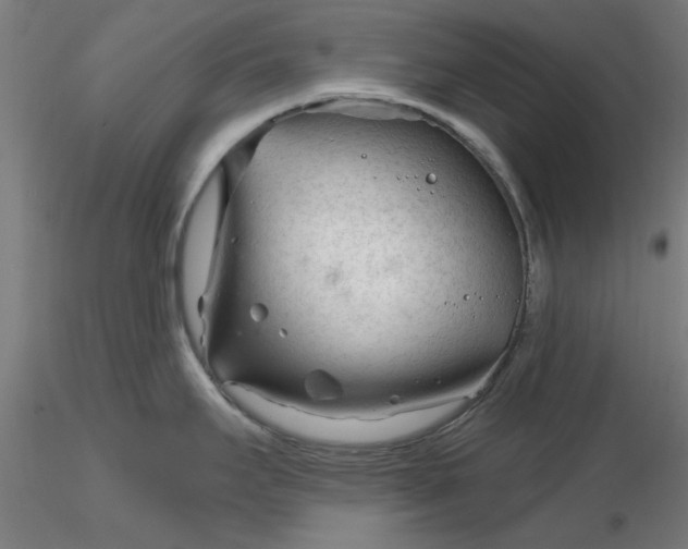 X0000116341295200912221433