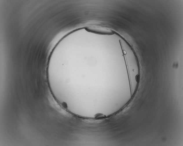 X0000116341296200912221433